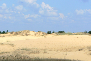 Олешківські піски